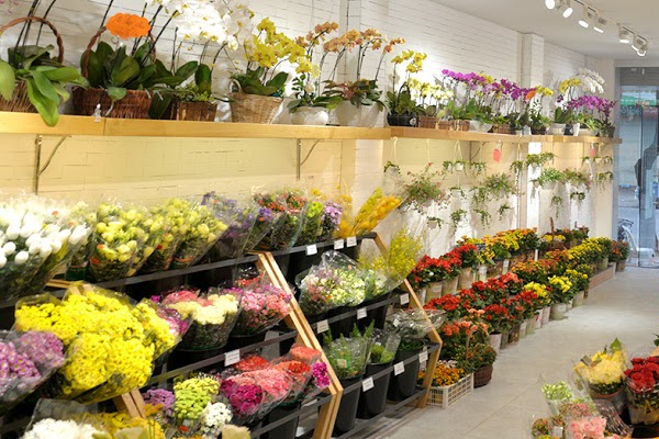 Cửa hàng bán hoa mang lại lợi nhuận hiệu quả
