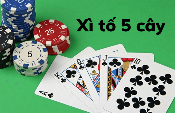 Cách chơi xì tố 5 cây