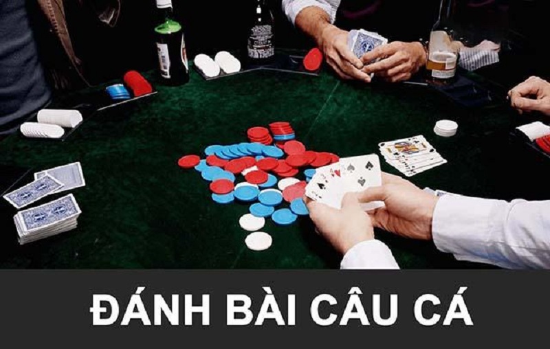 Giới thiệu cách chơi bài câu cá 2 người chuẩn nhất