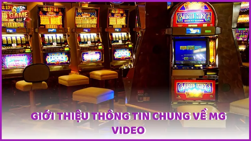 giới thiệu mg video