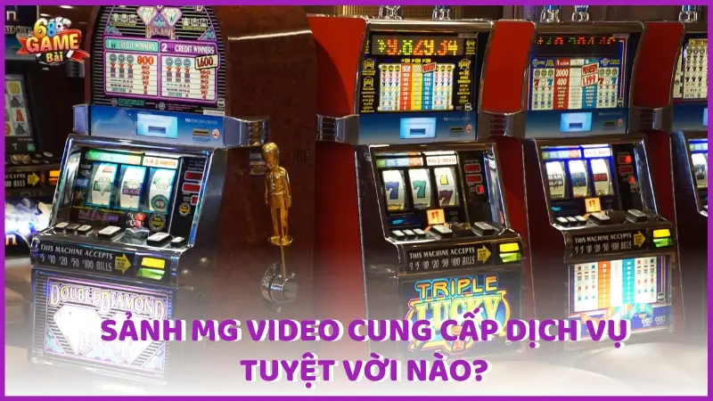 Dịch vụ tại sảnh MG Video