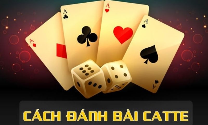 Hướng dẫn chơi bài catte